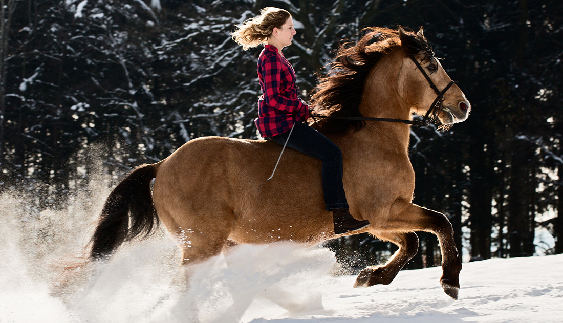 Pferde Fotoshooting Rickenbach Fotografin Soraya Burger Lorrach