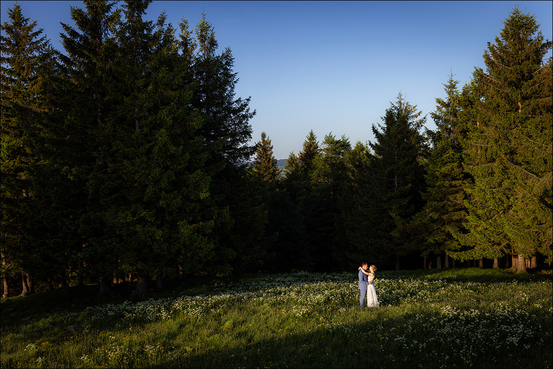 Brautpaar auf einer Lichtung im Schwarzwald - Hinterwaldkopf